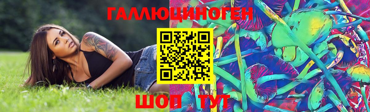Галлюциногенные грибы Psilocybine cubensis  Галлюциногенные грибы прущие грибы  Гусиноозёрск  Вход с VPN 