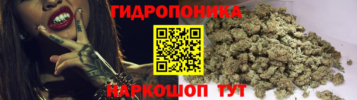 Марихуана гибрид  Марихуана индика  Гусиноозёрск  Вход с VPN 